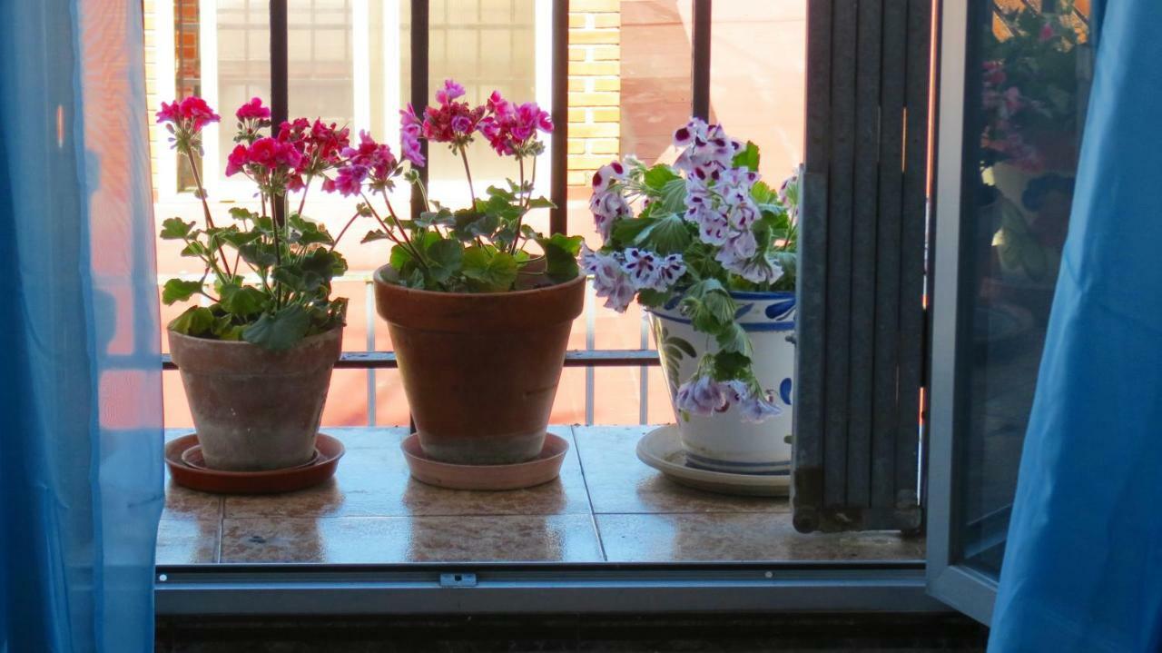Appartement Patios De San Pedro à Cordoue Extérieur photo