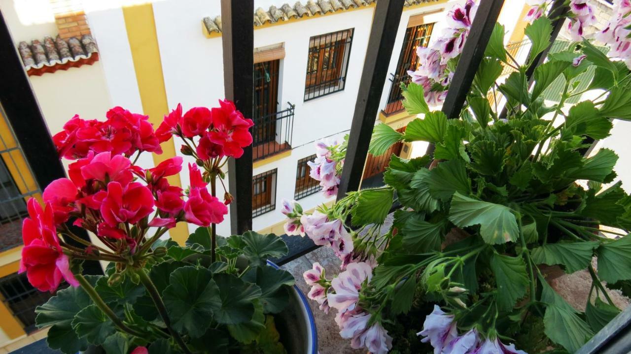 Appartement Patios De San Pedro à Cordoue Extérieur photo